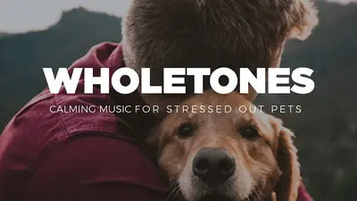 Wholetones for Pets album cover
